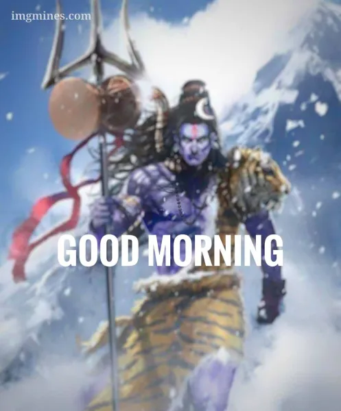 1000104666