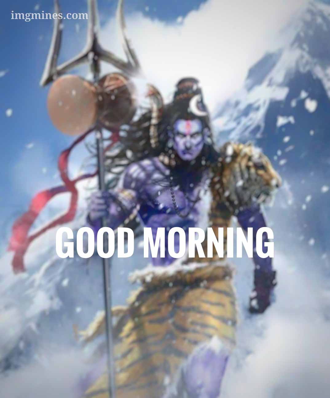 1000104666