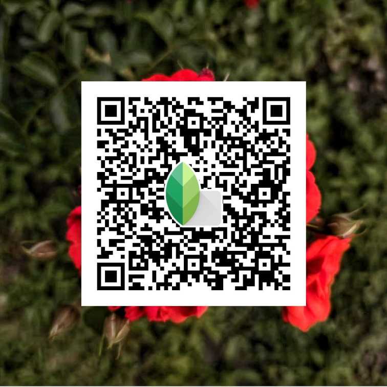 rose red snapseed qr code 4k hd