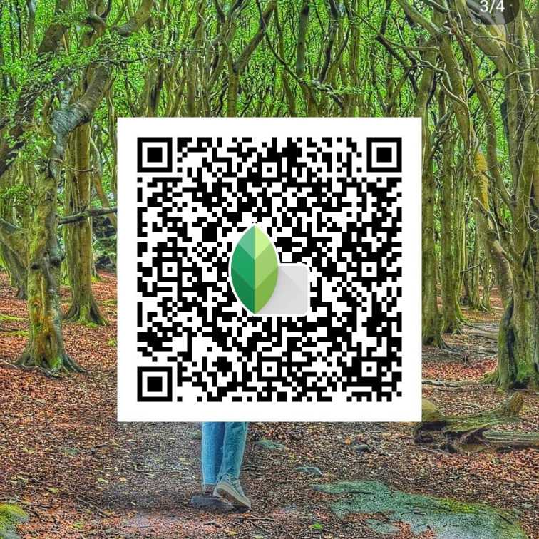 forest green and brown snapseed hd 4k qr code