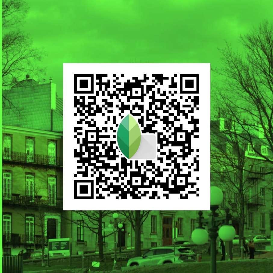 green snapseed qr code 2