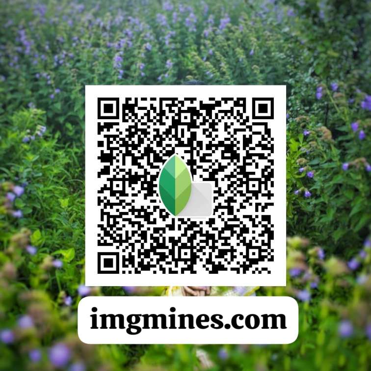 Snapseed qr codes blur background green nature