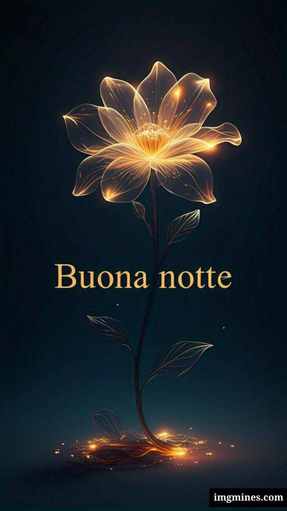 buonanotte bellissimi-1286
