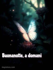 buonanotte bellissimi​ 20