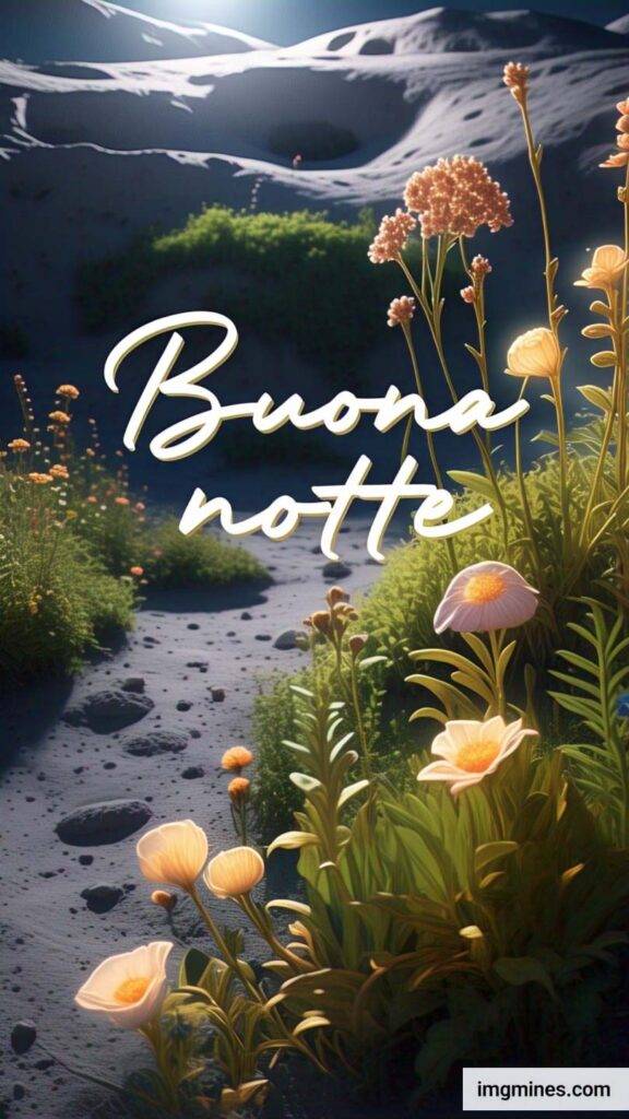 nuovissimo buonanotte immagini recenti gratis per whatsapp-304