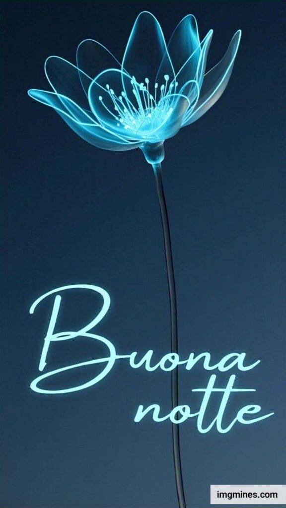 nuovissimo buonanotte immagini recenti gratis per whatsapp-328