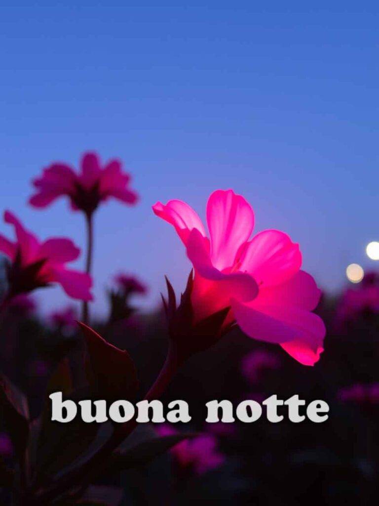 pietra bianca nuovissimo buonanotte immagini recenti​ 26