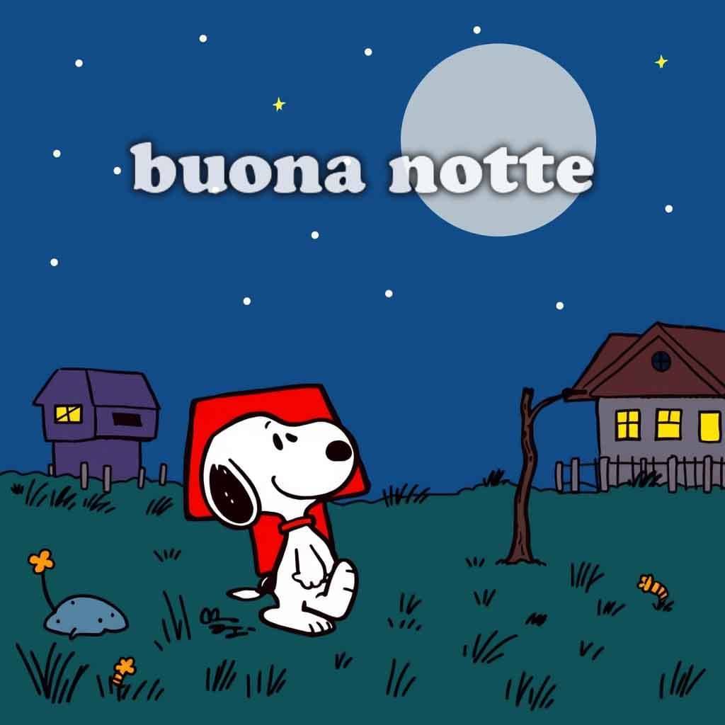 snoopy buonanotte 19