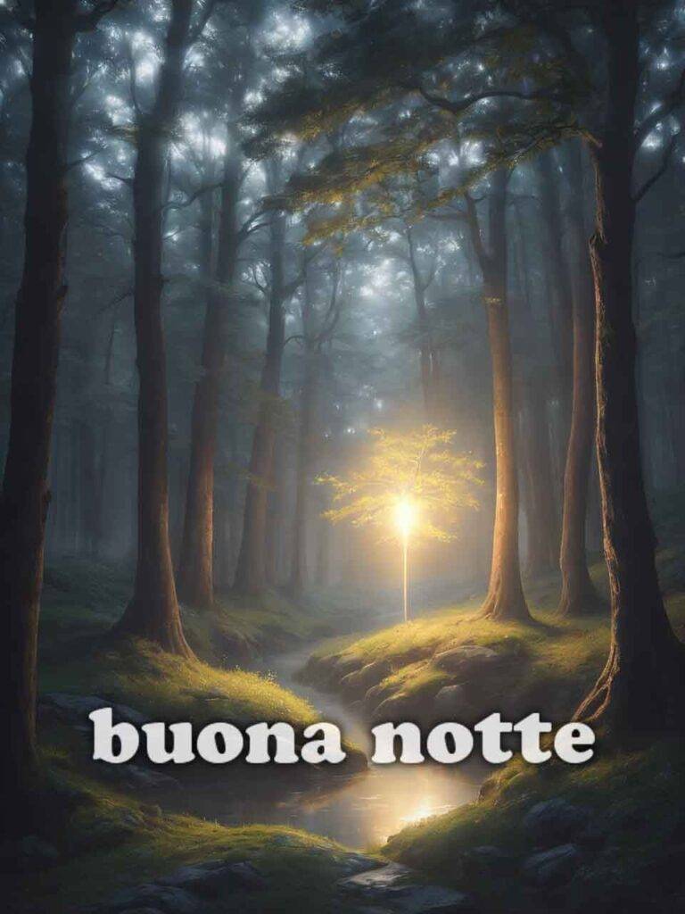 vignette buonanotte 10