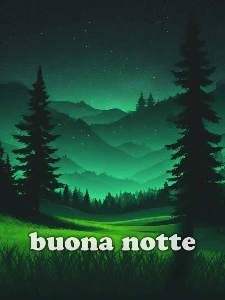 vignette buonanotte 13