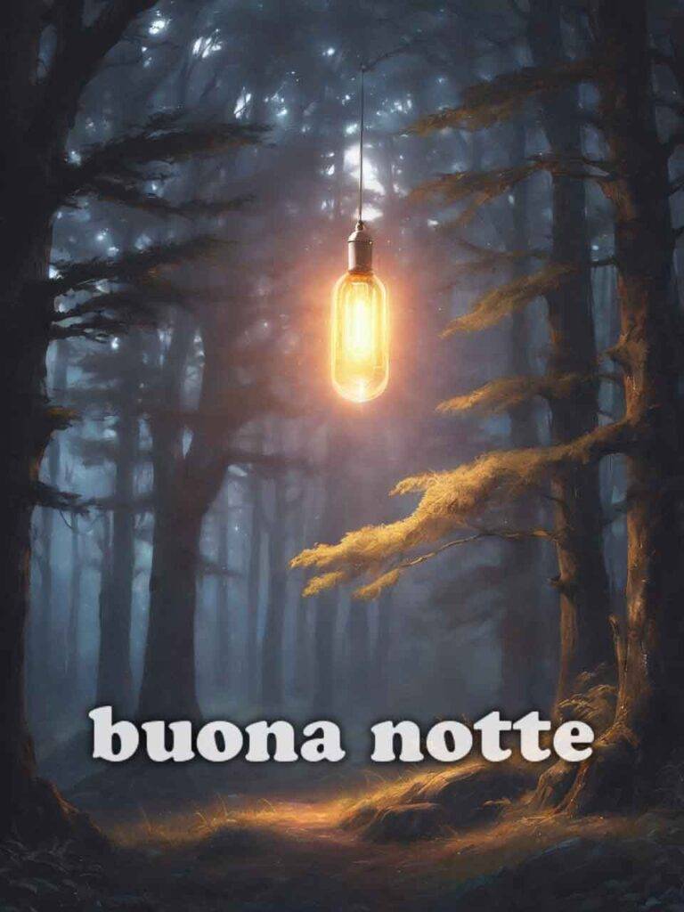 vignette buonanotte 4