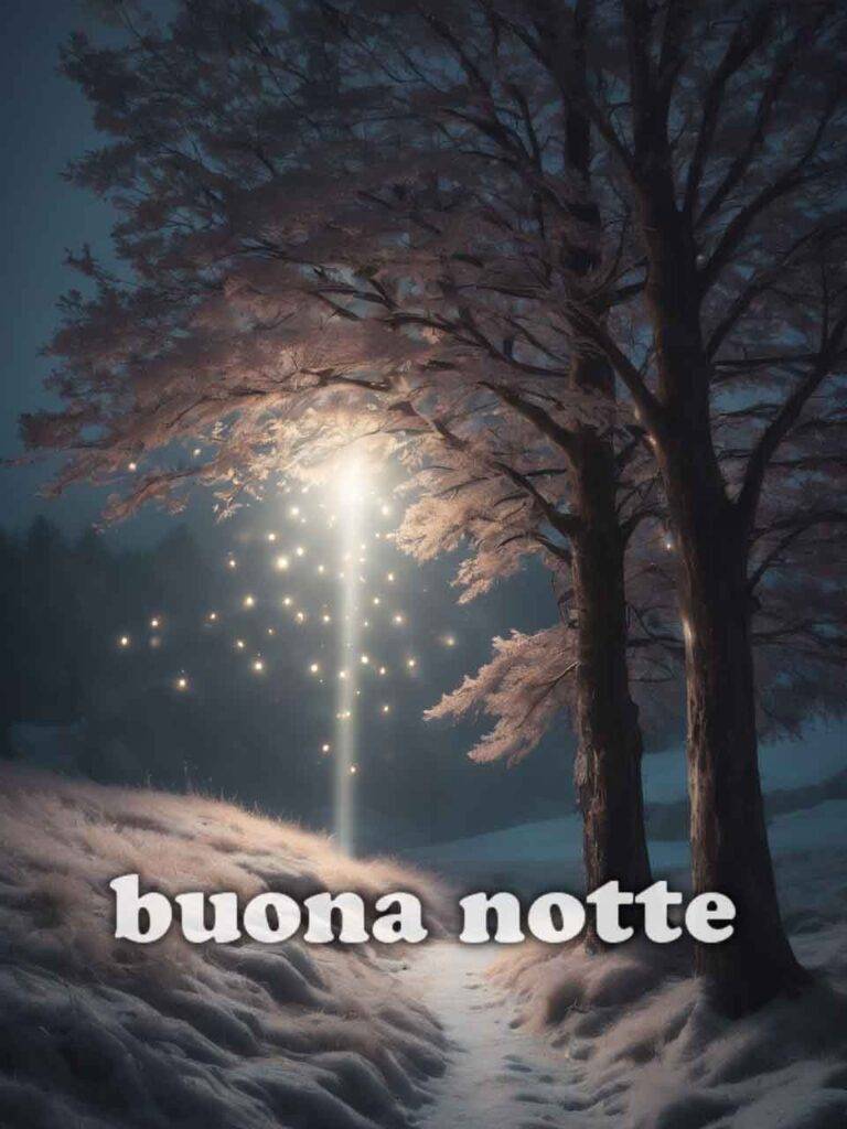 vignette buonanotte 6