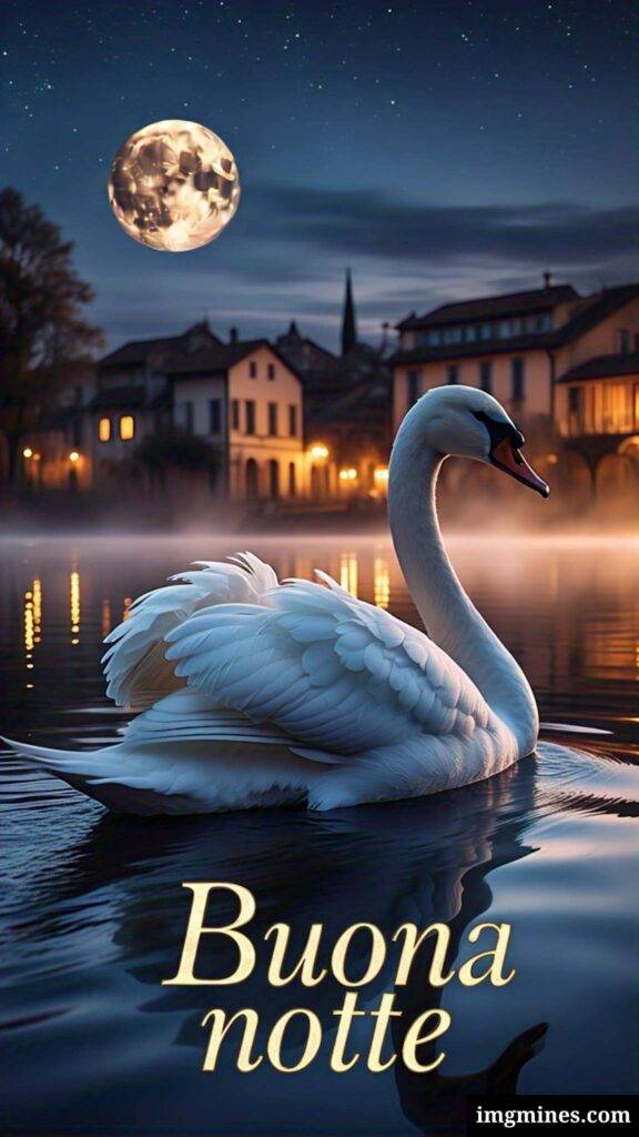 Cigno che invia un messaggio di buonanotte per WhatsApp