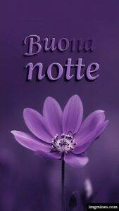buonanotte immagini nuove 2025 gratis per whatsapp-15