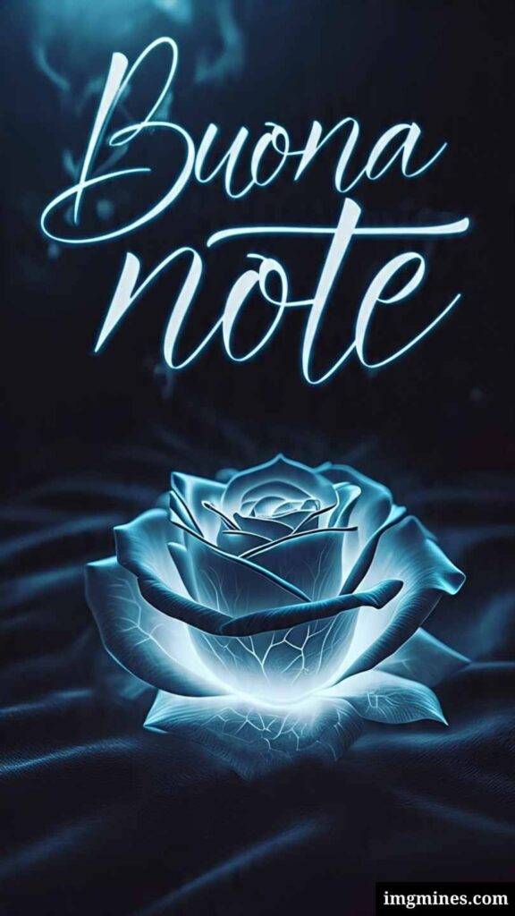 Rosa blu con messaggio di buonanotte nel buio della notte