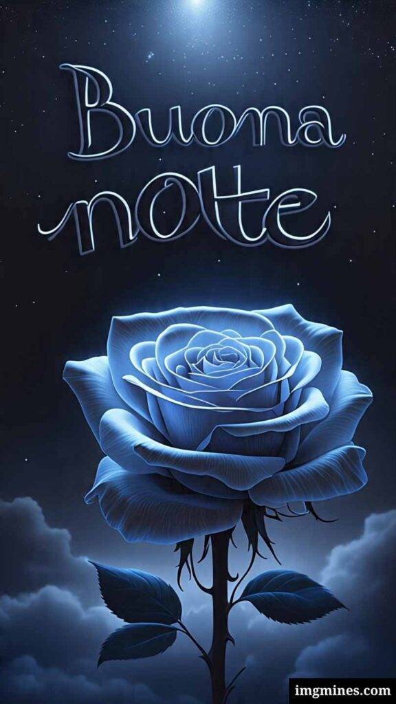 Rosa blu con messaggio di buonanotte