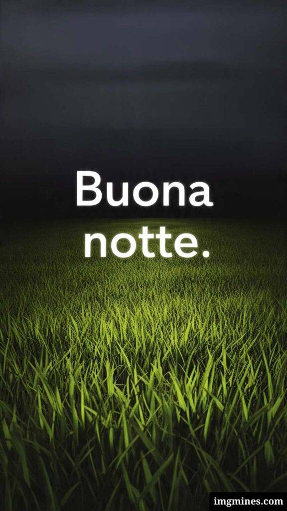 cielo ed erba sfondo nuovissima immagine della buonanotte